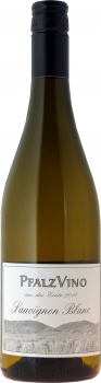 2022 PfalzVino Sauvignon Blanc trocken